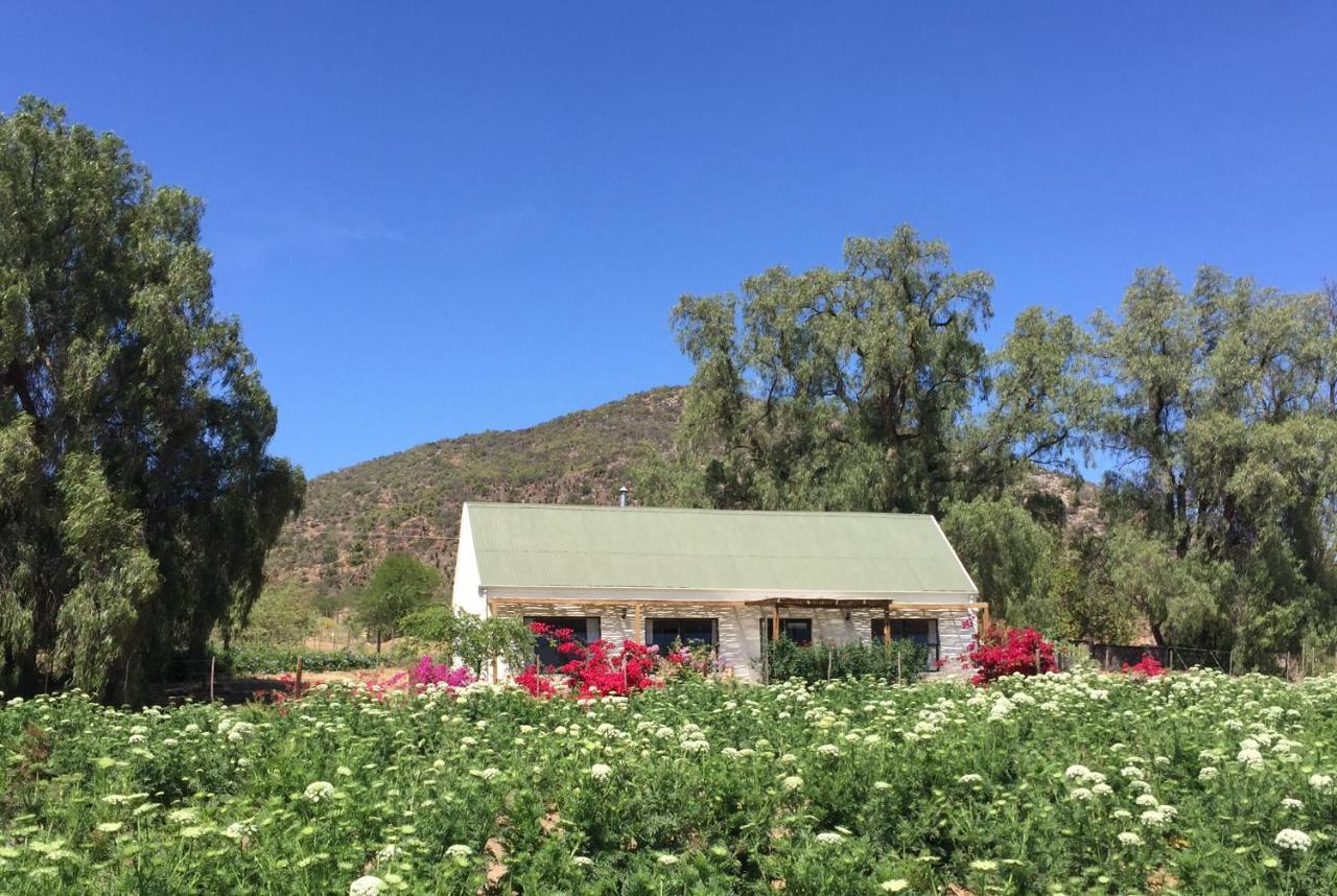 Pepper Tree Cottage De Rust Exterior foto